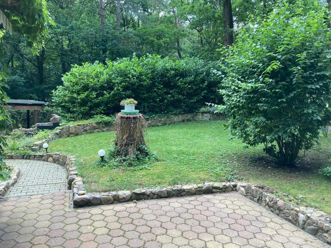 Waldhaus Lioba Villa Zichtau Kültér fotó